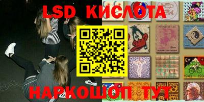 тгк Шебекино