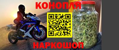 тгк Шебекино