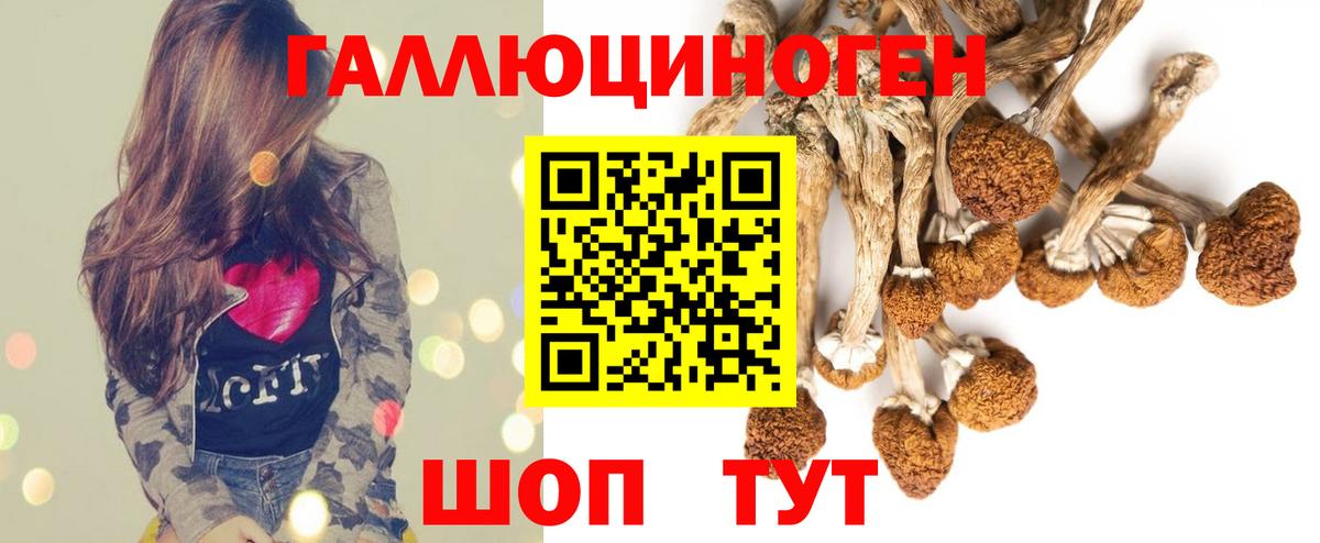 Псилоцибиновые грибы ЛСД Белогорск